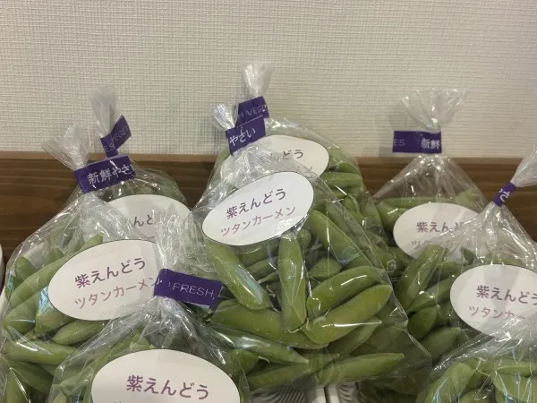 日勤のみの介護スタッフ募集中 - サービス付き高齢者向け住宅「晴れのち笑顔」